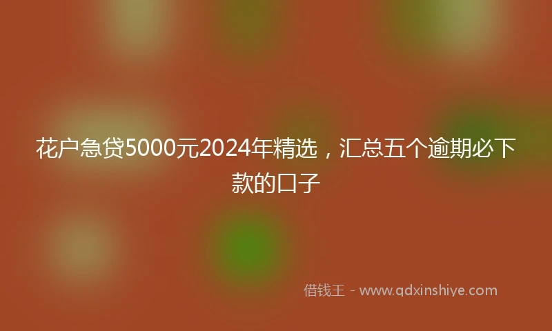 花户急贷5000元2024年精选，汇总五个逾期必下款的口子