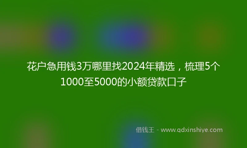 花户急用钱3万哪里找2024年精选，梳理5个1000至5000的小额贷款口子