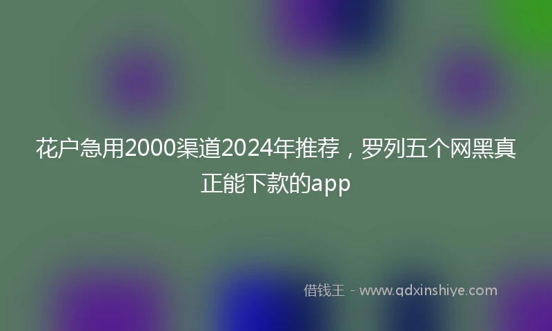 花户急用2000渠道2024年推荐，罗列五个网黑真正能下款的app