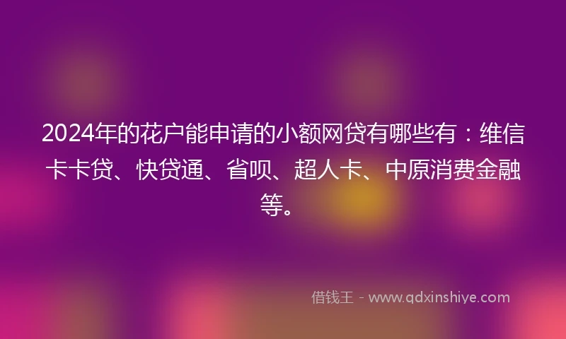 2024年的花户能申请的小额网贷有哪些有：维信卡卡贷、快贷通、省呗、超人卡、中原消费金融等。