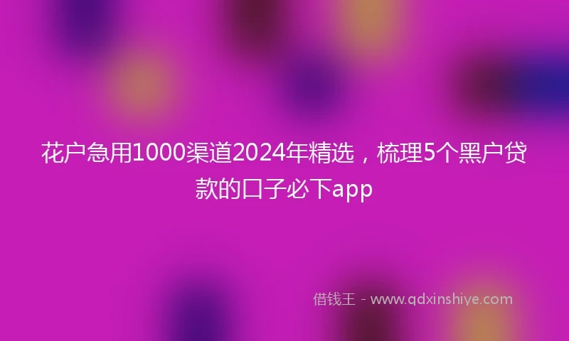 花户急用1000渠道2024年精选，梳理5个黑户贷款的口子必下app