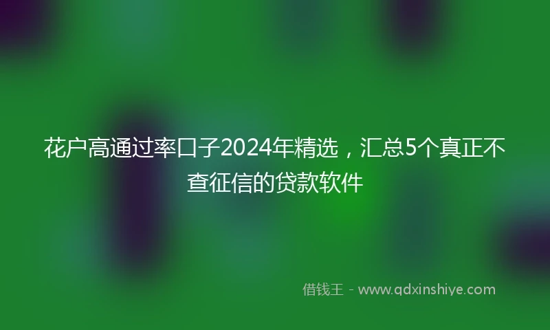 花户高通过率口子2024年精选，汇总5个真正不查征信的贷款软件