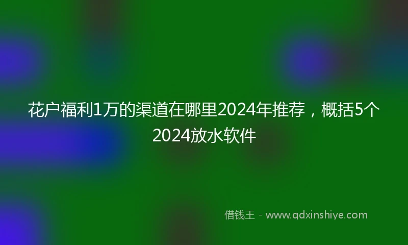 花户福利1万的渠道在哪里2024年推荐，概括5个2024放水软件