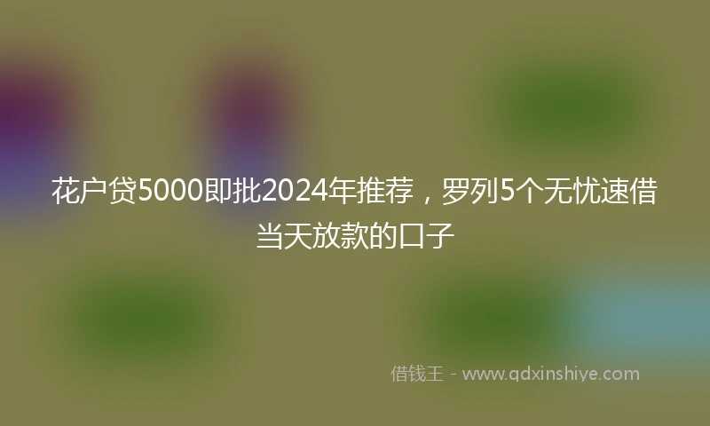 花户贷5000即批2024年推荐，罗列5个无忧速借当天放款的口子