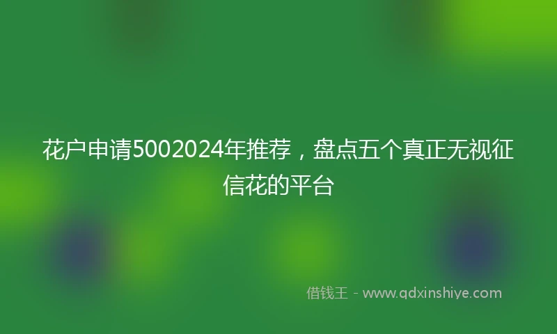 花户申请5002024年推荐，盘点五个真正无视征信花的平台
