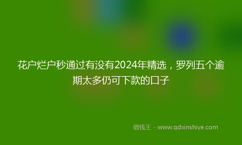 花户烂户秒通过有没有2024年精选，罗列五个逾期太多仍可下款的口子