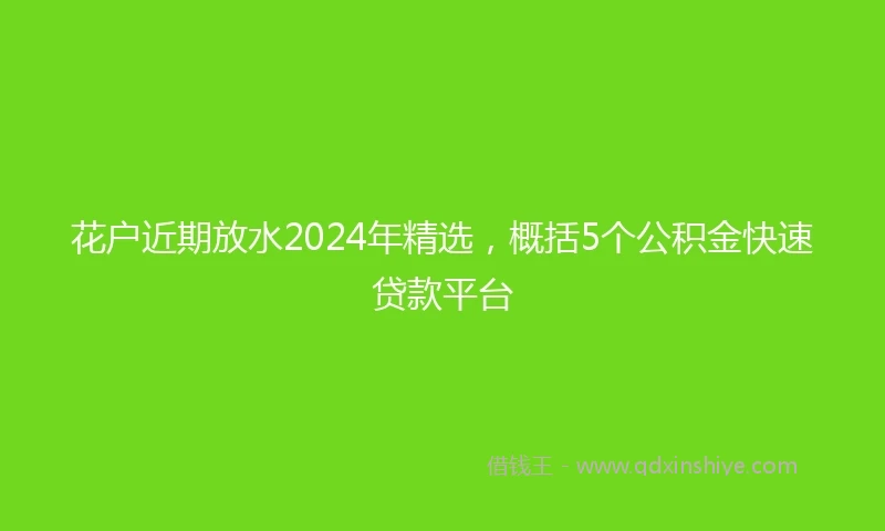 花户近期放水2024年精选，概括5个公积金快速贷款平台