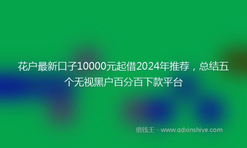 花户最新口子10000元起借2024年推荐，总结五个无视黑户百分百下款平台