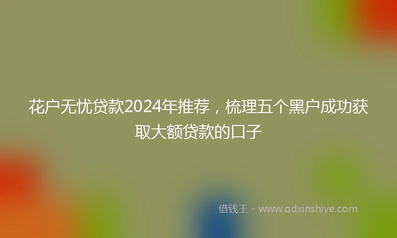 花户无忧贷款2024年推荐，梳理五个黑户成功获取大额贷款的口子