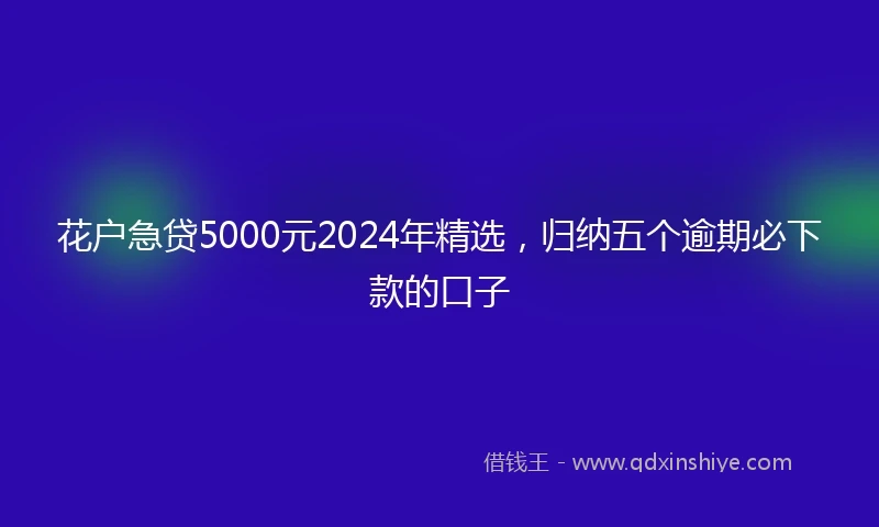 花户急贷5000元2024年精选，归纳五个逾期必下款的口子