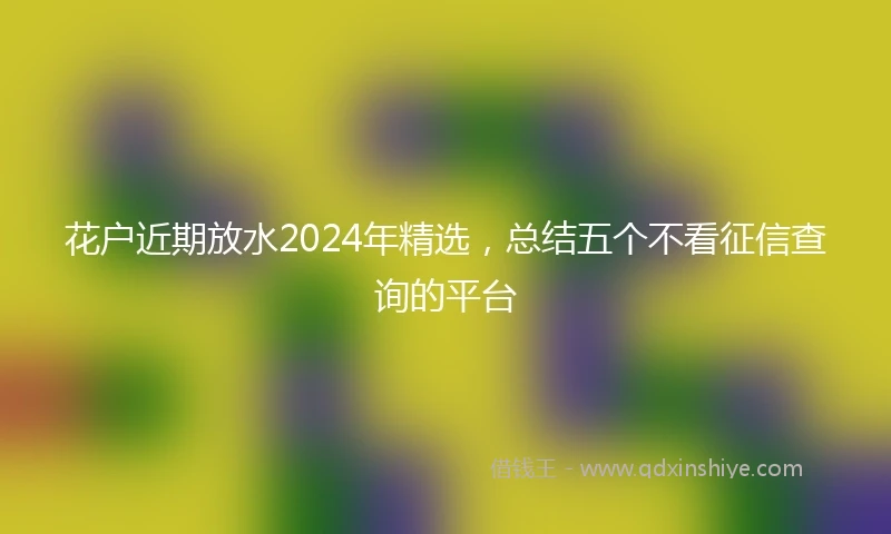花户近期放水2024年精选，总结五个不看征信查询的平台