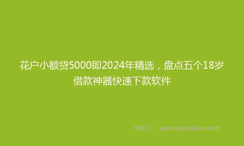 花户小额贷5000即2024年精选，盘点五个18岁借款神器快速下款软件
