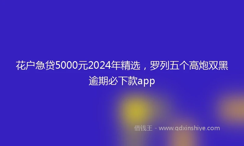花户急贷5000元2024年精选，罗列五个高炮双黑逾期必下款app