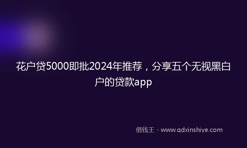 花户贷5000即批2024年推荐，分享五个无视黑白户的贷款app