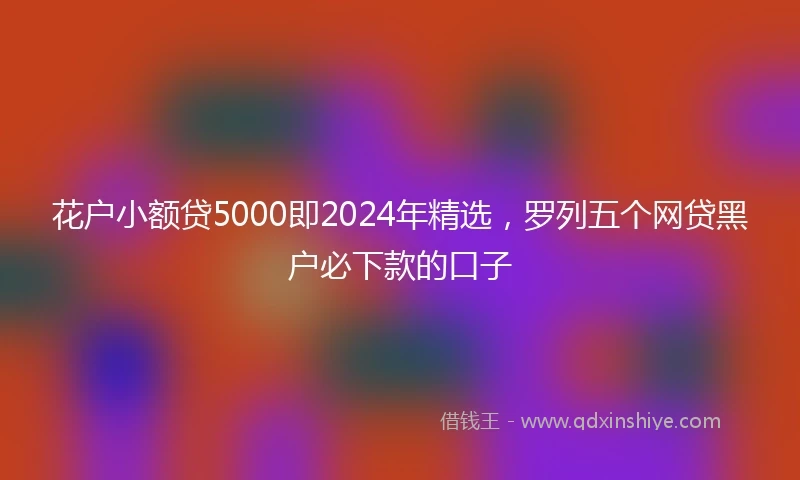 花户小额贷5000即2024年精选，罗列五个网贷黑户必下款的口子