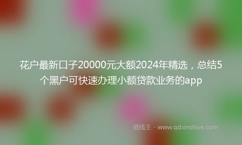 花户最新口子20000元大额2024年精选，总结5个黑户可快速办理小额贷款业务的app