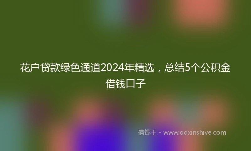 花户贷款绿色通道2024年精选，总结5个公积金借钱口子