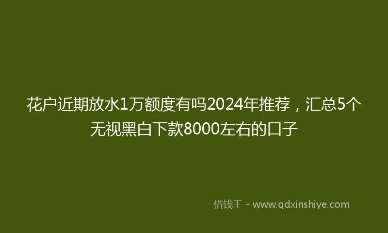 花户近期放水1万额度有吗2024年推荐，汇总5个无视黑白下款8000左右的口子