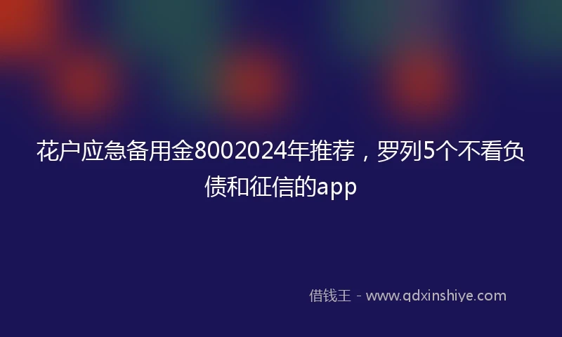 花户应急备用金8002024年推荐，罗列5个不看负债和征信的app