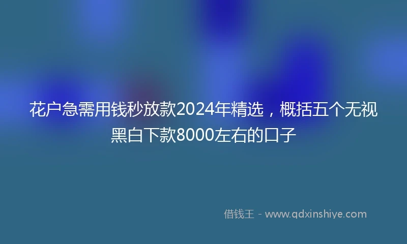 花户急需用钱秒放款2024年精选，概括五个无视黑白下款8000左右的口子