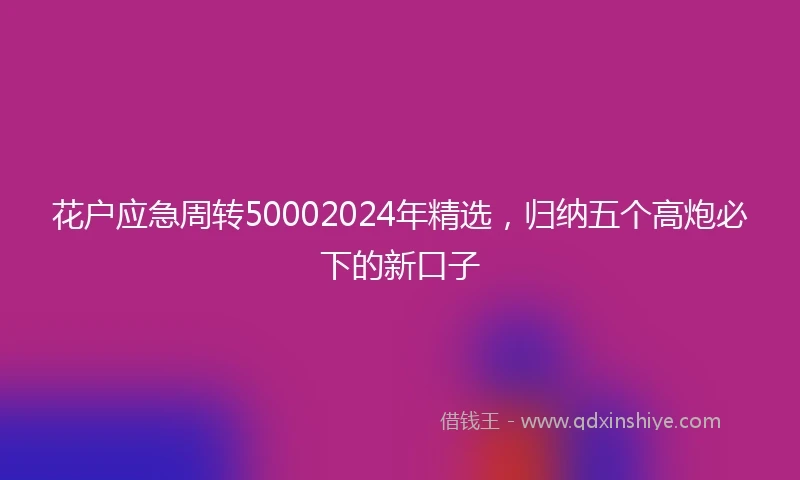 花户应急周转50002024年精选，归纳五个高炮必下的新口子