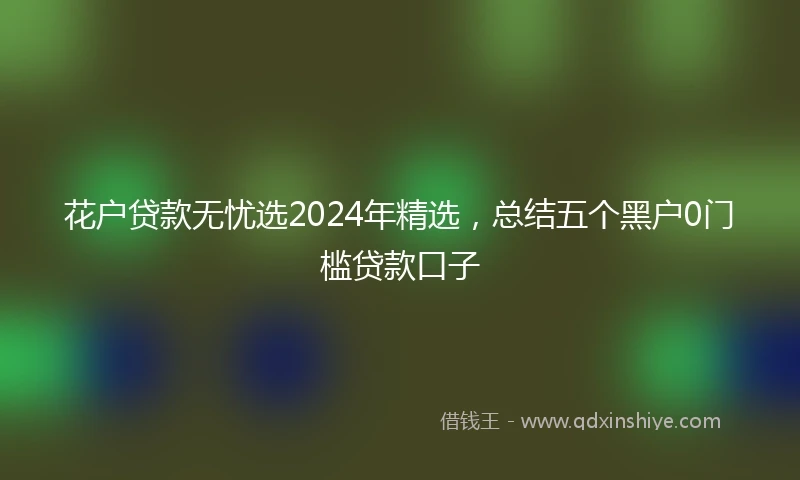花户贷款无忧选2024年精选，总结五个黑户0门槛贷款口子