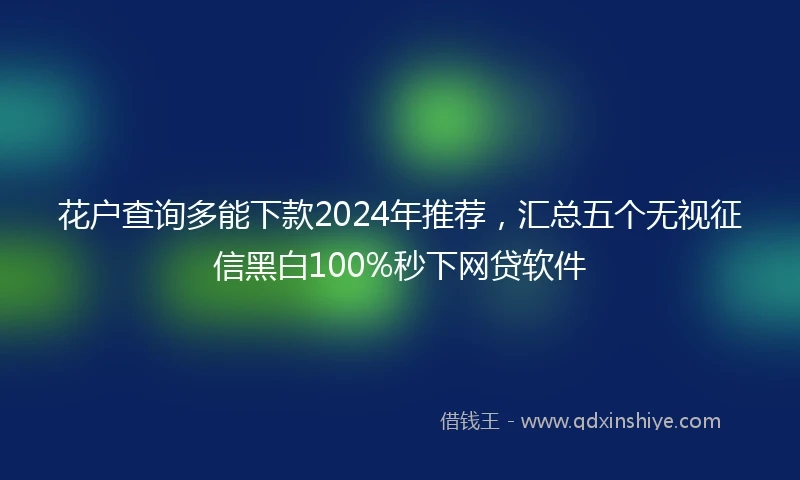 花户查询多能下款2024年推荐，汇总五个无视征信黑白100%秒下网贷软件