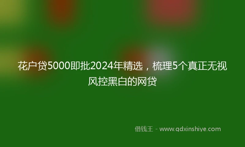 花户贷5000即批2024年精选，梳理5个真正无视风控黑白的网贷