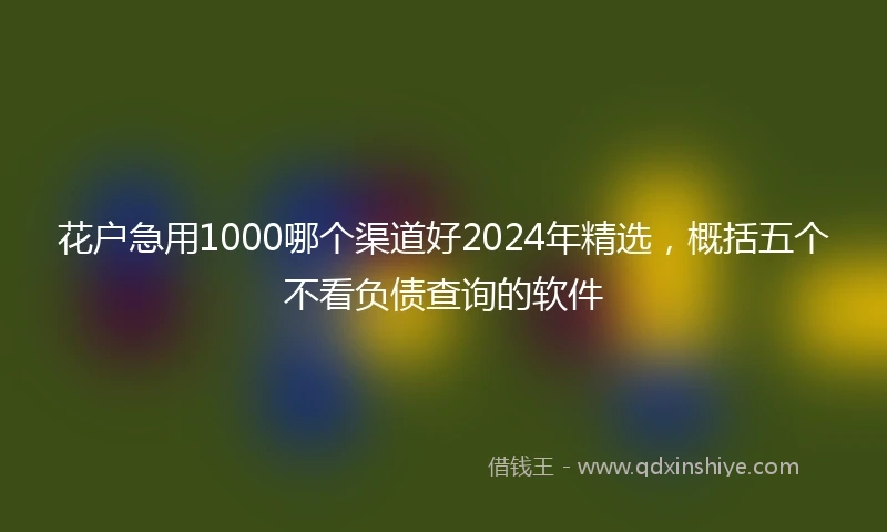 花户急用1000哪个渠道好2024年精选，概括五个不看负债查询的软件