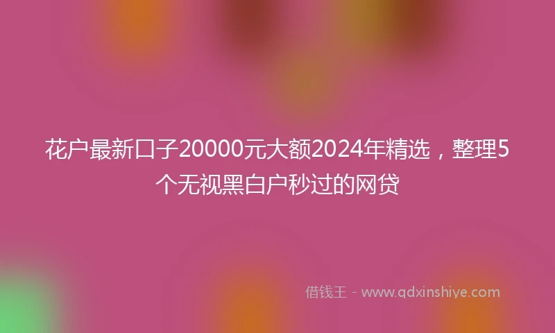 花户最新口子20000元大额2024年精选，整理5个无视黑白户秒过的网贷