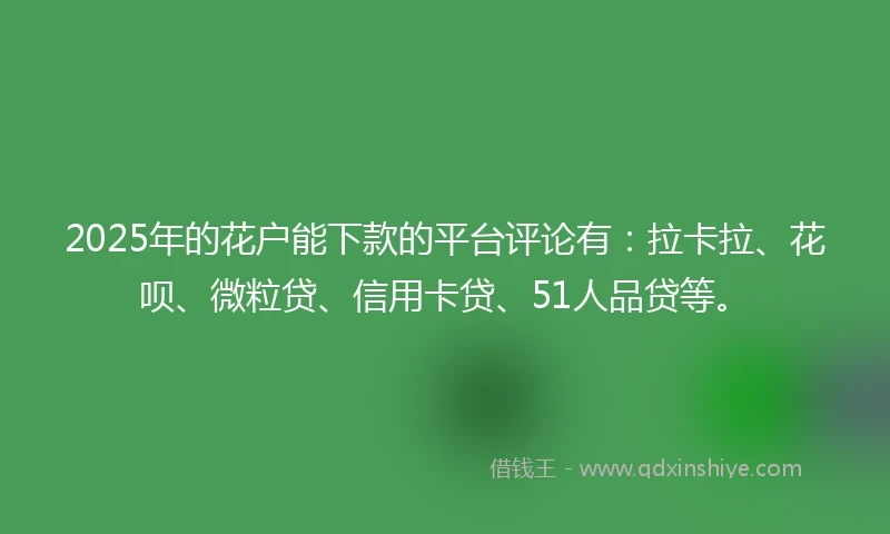 2025年的花户能下款的平台评论有：拉卡拉、花呗、微粒贷、信用卡贷、51人品贷等。