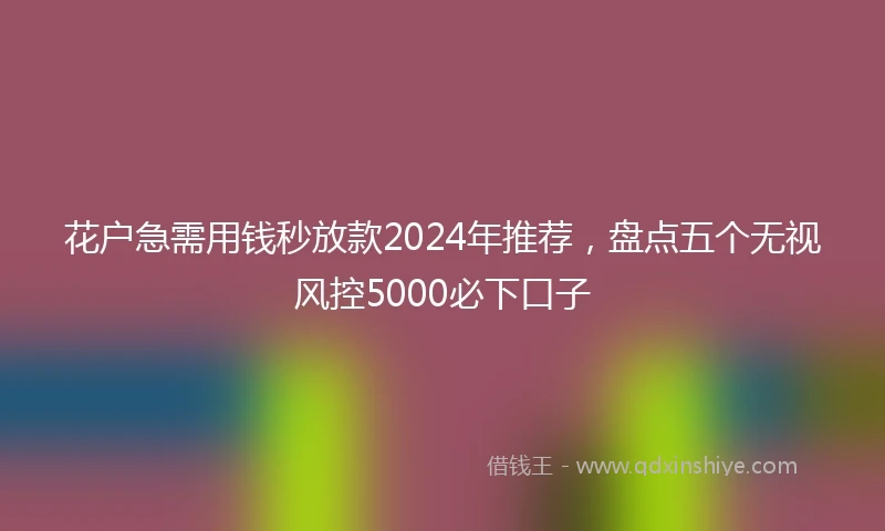 花户急需用钱秒放款2024年推荐，盘点五个无视风控5000必下口子
