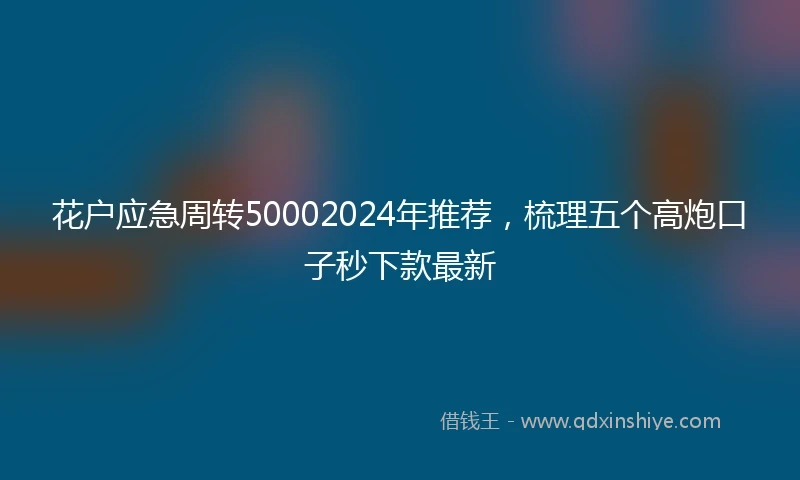 花户应急周转50002024年推荐，梳理五个高炮口子秒下款最新