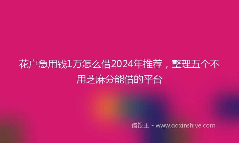 花户急用钱1万怎么借2024年推荐，整理五个不用芝麻分能借的平台