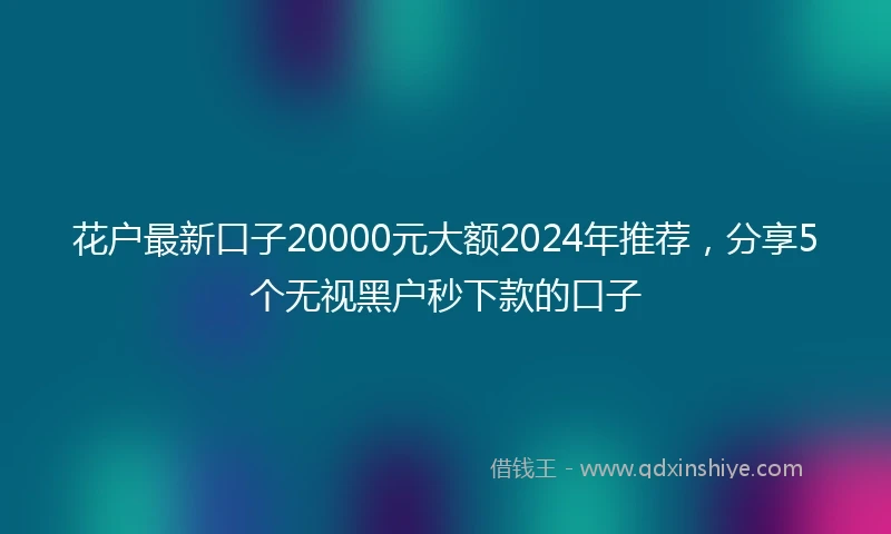 花户最新口子20000元大额2024年推荐，分享5个无视黑户秒下款的口子