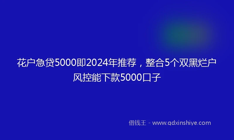 花户急贷5000即2024年推荐，整合5个双黑烂户风控能下款5000口子