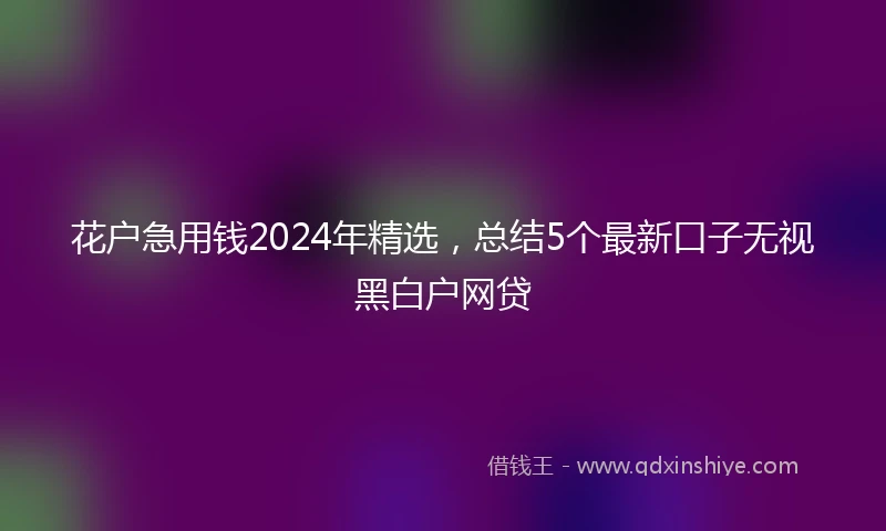花户急用钱2024年精选，总结5个最新口子无视黑白户网贷