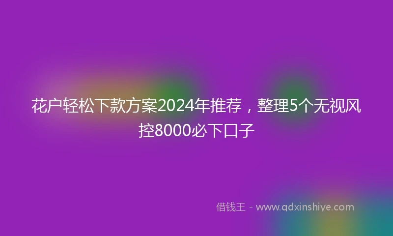 花户轻松下款方案2024年推荐，整理5个无视风控8000必下口子