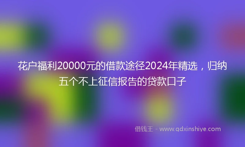 花户福利20000元的借款途径2024年精选，归纳五个不上征信报告的贷款口子