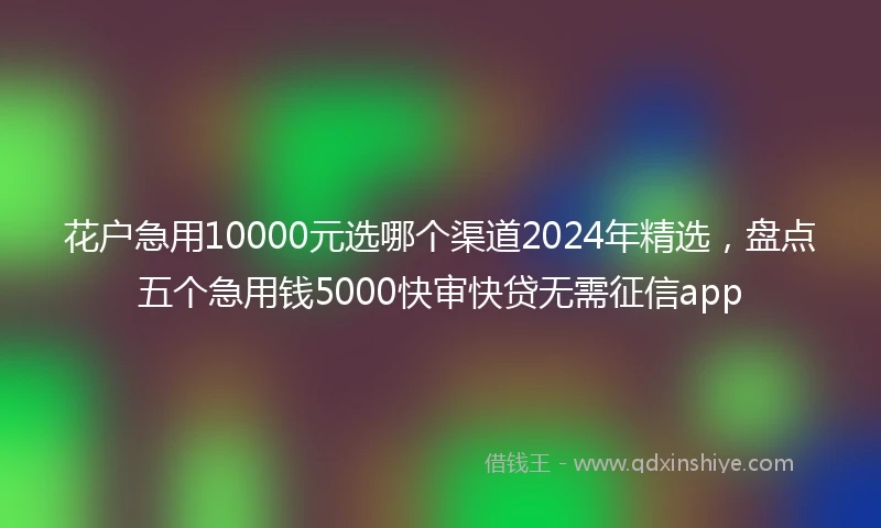 花户急用10000元选哪个渠道2024年精选，盘点五个急用钱5000快审快贷无需征信app