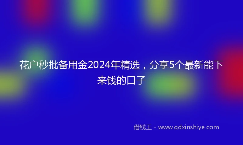 花户秒批备用金2024年精选，分享5个最新能下来钱的口子