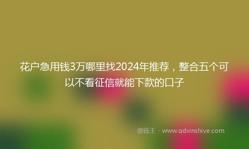 花户急用钱3万哪里找2024年推荐，整合五个可以不看征信就能下款的口子