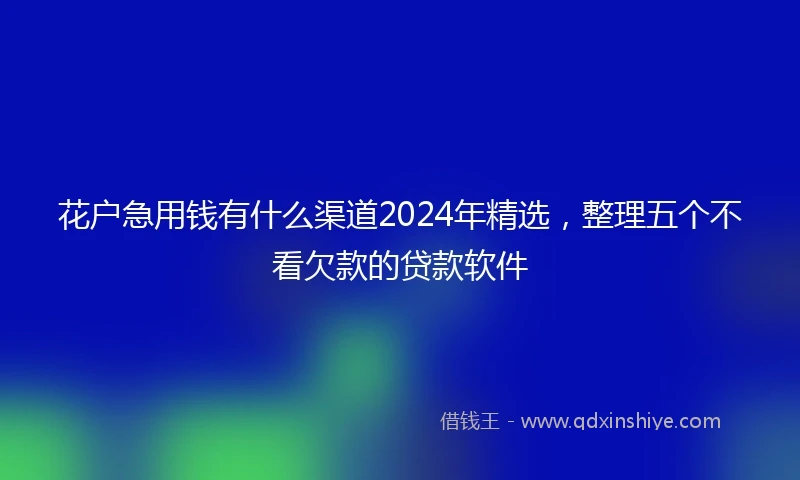 花户急用钱有什么渠道2024年精选，整理五个不看欠款的贷款软件