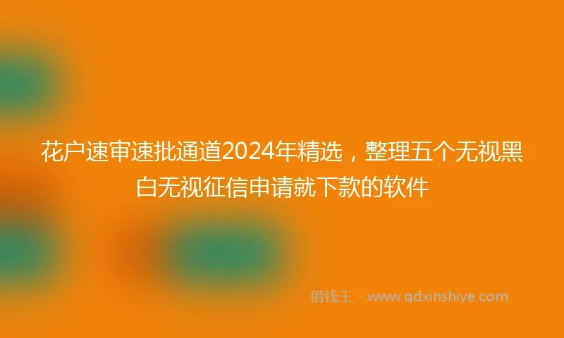 花户速审速批通道2024年精选，整理五个无视黑白无视征信申请就下款的软件
