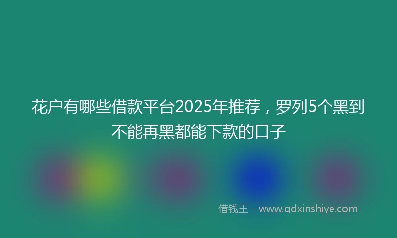 花户有哪些借款平台2025年推荐，罗列5个黑到不能再黑都能下款的口子