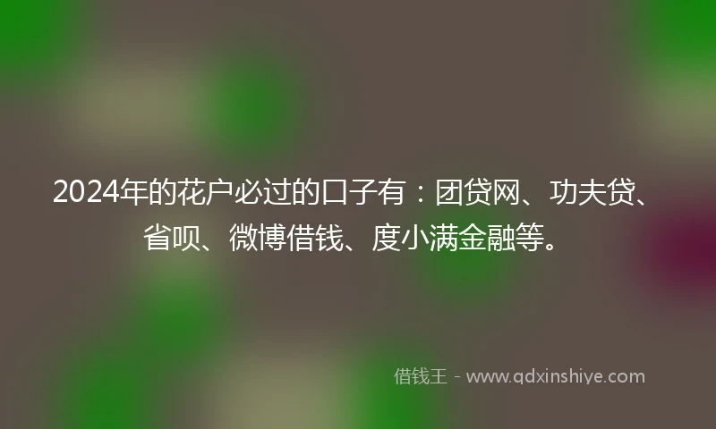 2024年的花户必过的口子有：团贷网、功夫贷、省呗、微博借钱、度小满金融等。