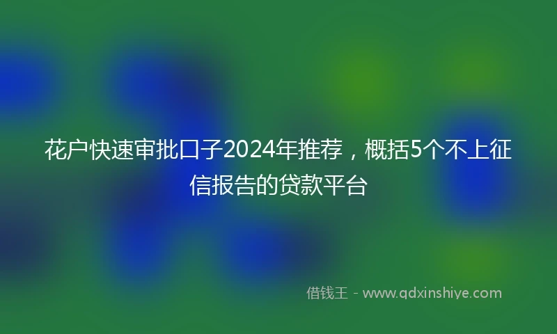 花户快速审批口子2024年推荐，概括5个不上征信报告的贷款平台