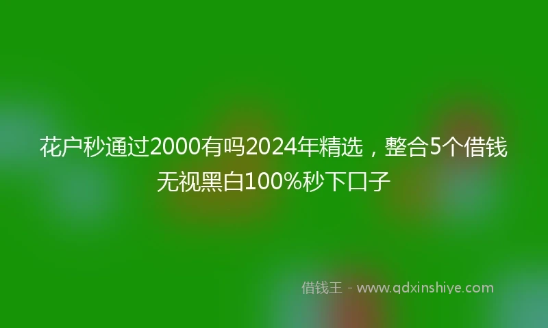 花户秒通过2000有吗2024年精选，整合5个借钱无视黑白100%秒下口子