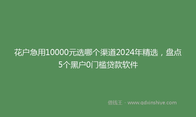 花户急用10000元选哪个渠道2024年精选，盘点5个黑户0门槛贷款软件