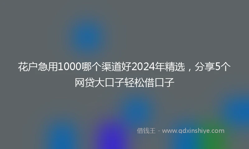 花户急用1000哪个渠道好2024年精选，分享5个网贷大口子轻松借口子
